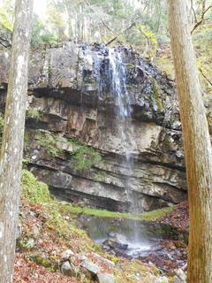 DSCN0159.jpg