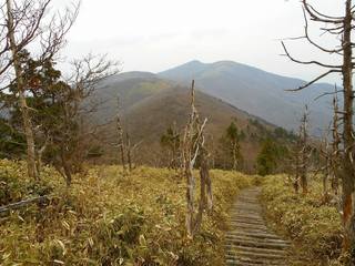 DSCN0167.jpg