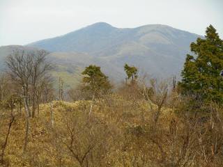 DSCN0187.jpg