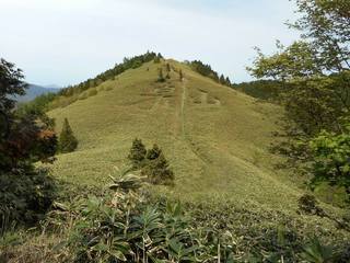 DSCN0258.jpg