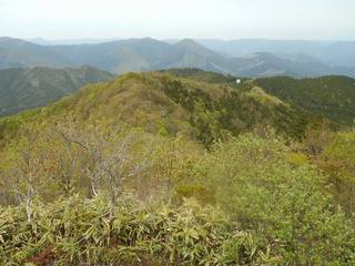 DSCN0278.jpg