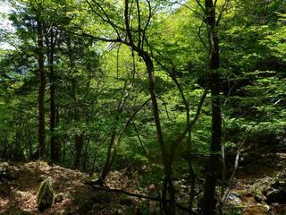 DSCN0294.jpg