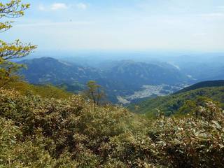 DSCN0324.jpg