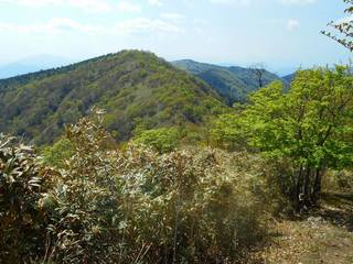 DSCN0327.jpg