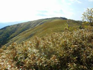 DSCN0336.jpg