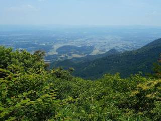 DSCN0367.jpg