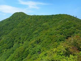 DSCN0379.jpg