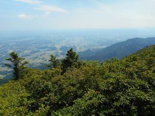 DSCN0381.jpg