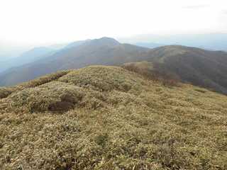 DSCN0612.jpg