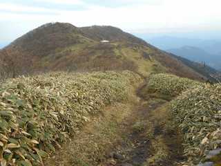 DSCN0614.jpg