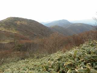 DSCN0616.jpg