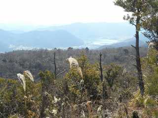 DSCN0757.jpg