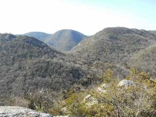 DSCN0764.jpg