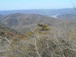 DSCN0765.jpg