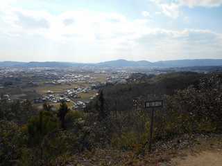 DSCN0786.jpg