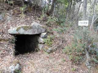 DSCN0792.jpg
