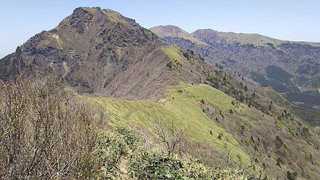 9051.jpg