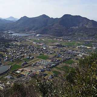 9650.jpg