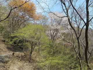 DSCN0896.jpg