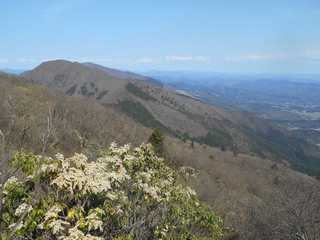 DSCN0911.jpg