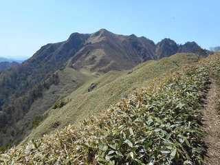 DSCN1006.jpg